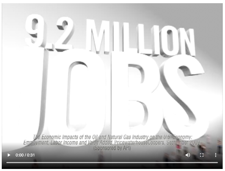 American Petroleum Institute