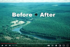 Before/After Drilling