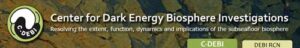 Center for Dark Energy Biosphere Investigations (C-DEBI)