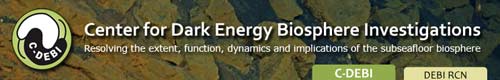 Center for Dark Energy Biosphere Investigations (C-DEBI)
