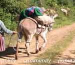 Systems Approach to Energy Transitions: Watkins Glen Conference