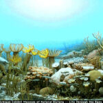 The Marcellus Shale Formation Information Site