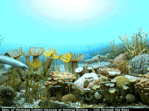 The Marcellus Shale Formation Information Site