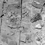 Marcellus Shale Gas: New Research Results Surprise Geologists!