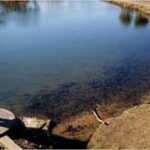 WATER: Rulings Restrict Clean Water Act