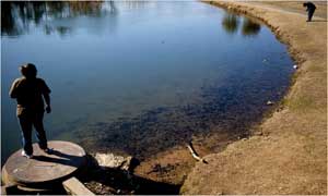 WATER: Rulings Restrict Clean Water Act