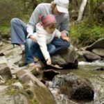 Environmental Integrity Project (EIP)