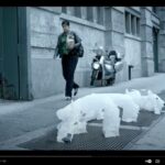 Polar Bears