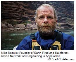 Tree spiker : from Earth First! to lowbagging: my struggles in radical environmental action