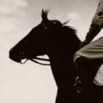 Vincent Alabama Confidential