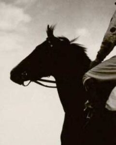 Vincent Alabama Confidential