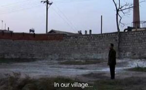The Warriors of Qiugang: 仇岗卫士 A Chinese Village Fights Back