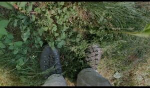 Deeper Listening video by Neil Zusman (2022)