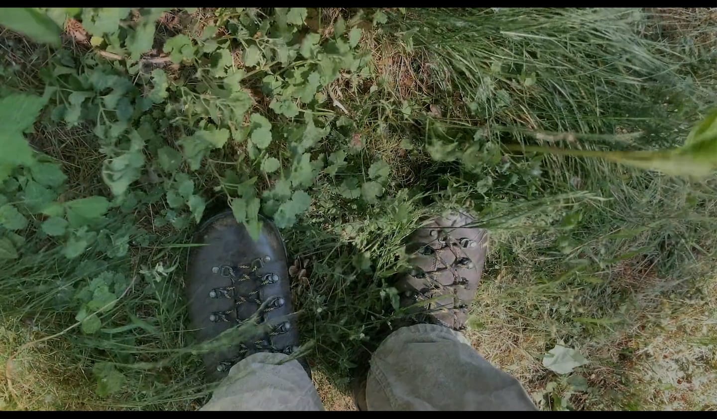 Deeper Listening video by Neil Zusman (2022)