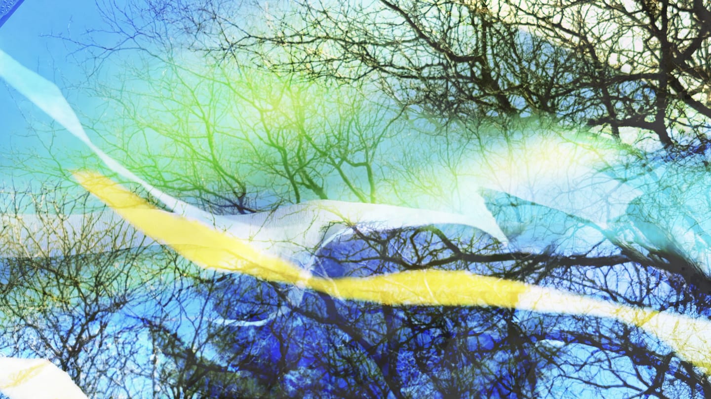 Neil Zusman. Deeper Listening | Apr2026