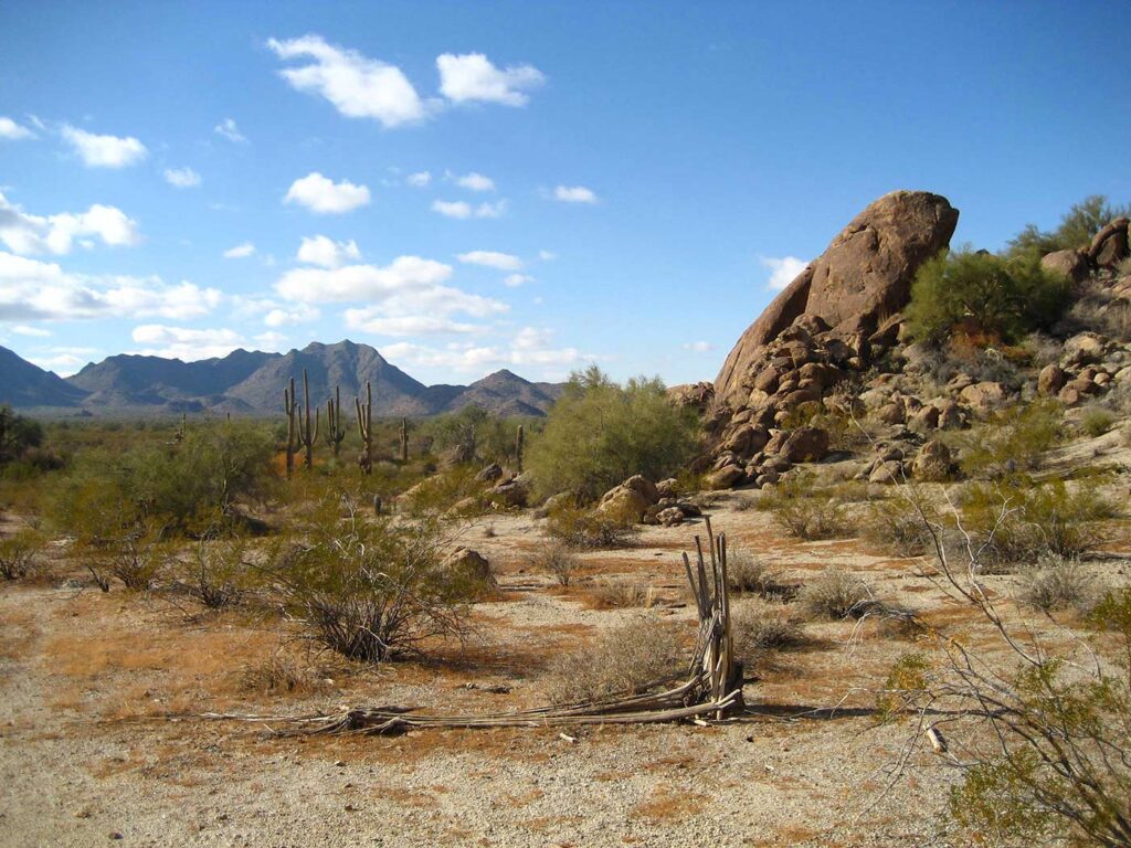 Arroyo