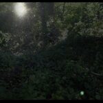 Playground of Coincidence: Deeper Listening | Aug 2025