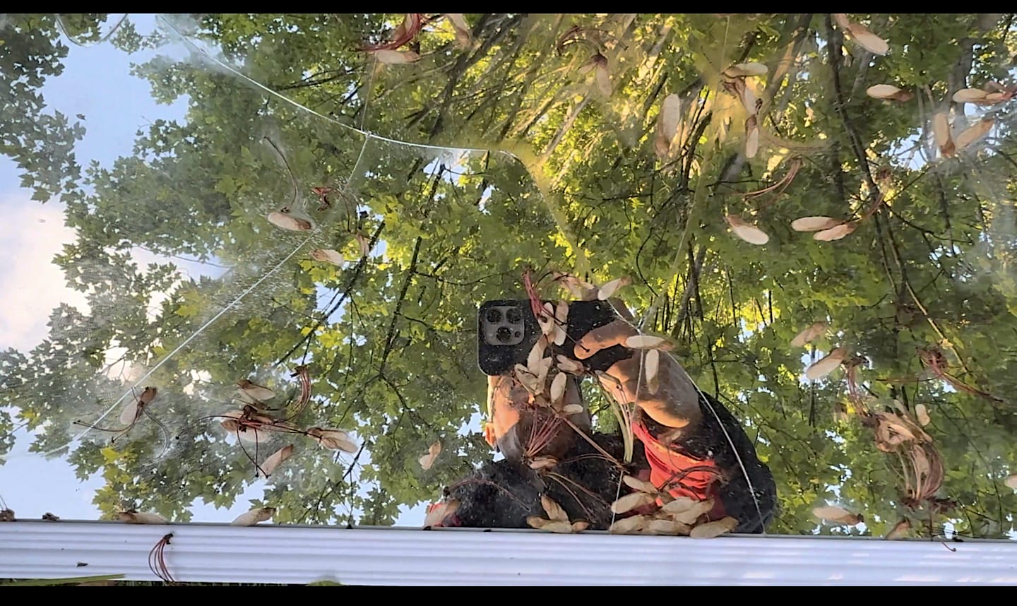 Magic for Water. May 2025. Screen Capture.