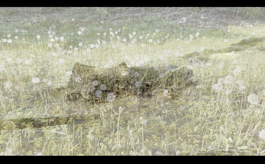 Magic for Water. May 2025. Screen Capture.