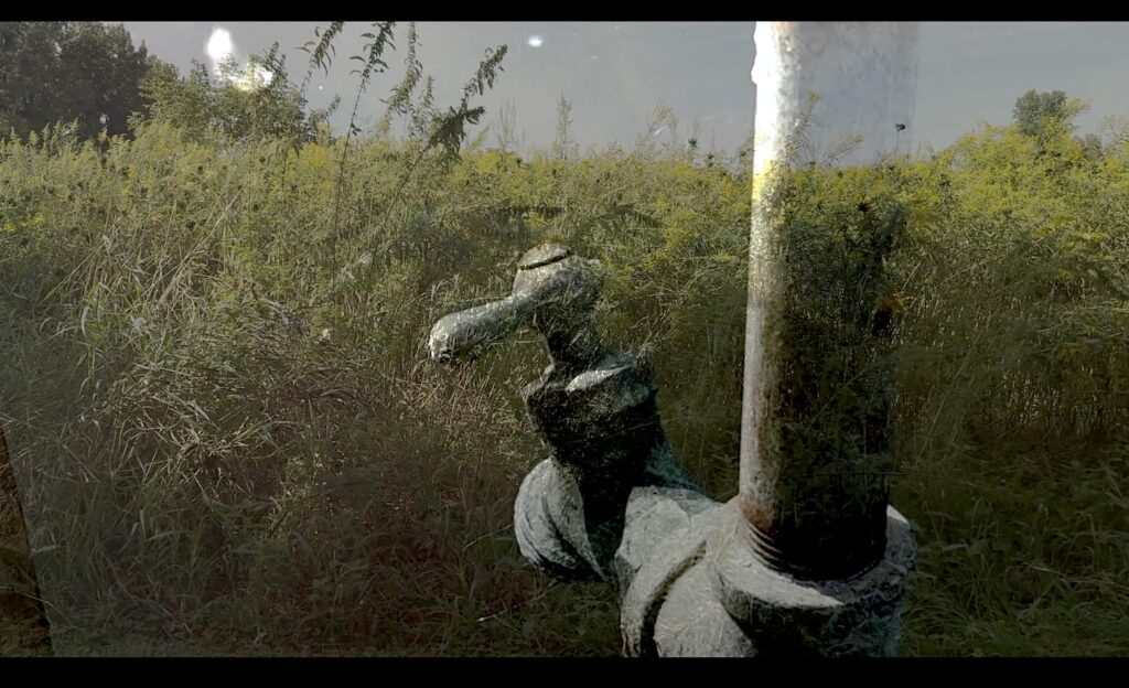 Blessing of the Animals. Sep 2026. Screen Capture.