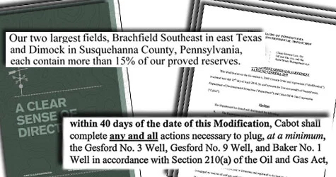 In its 2009 annual report, Cabot Oil and Gas named a field in Texas and another in Dimock, Pa., as its two largest fields of production. But yesterday the Pennsylvania Department of Environmental Protection ordered Cabot to plug at least three of its gas wells in Dimock and pay hefty fines after contaminating local drinking water.